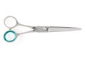 Grooming scissors. Scissors for cutting people and pets. Closed scissors on a white isolated background. Close-up Royalty Free Stock Photo