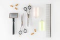 Grooming tools, scissors, brush, comb, shampoo and dog treats, flat lay Royalty Free Stock Photo