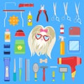 Grooming vector dog character with haircut and tools scissors comb or brush for hairstyle in groomer salon illustration Royalty Free Stock Photo