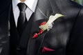 Grooms boutionnere Royalty Free Stock Photo