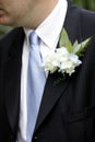 Grooms Corsage Royalty Free Stock Photo