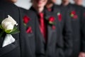 Grooms corsage in foreground, groomsmen behind Royalty Free Stock Photo