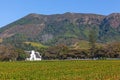 Groot Constantia in Cape Town Royalty Free Stock Photo