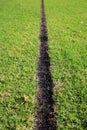 Furrow in grass burn-in Royalty Free Stock Photo