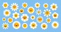 Groovy daisy flowers. Cartoon cute chamomile icons with funny faces and different emotions, positive comic floral