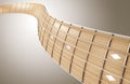 Groovy Guitar Neck