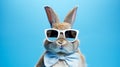 Groovy Rabbit: Retro Glamor Sunglasses And Tie On Blue Background