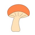 Groovy retro mushroom. Vintage hippie psychedelic amanita