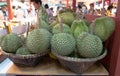 Grop of Durian in basket