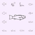 groper icon. Fish icons universal set for web and mobile