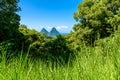 Gros and Petit Pitons near village Soufriere on Caribbean island St Lucia - tropical and paradise landscape scenery on Saint Lucia