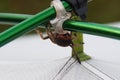 Gross spider on tent camping sticks, Florianopolis, Brazil Royalty Free Stock Photo