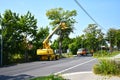 Closed road with a lift and workers for tree trimming and tree care work