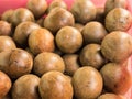 Grosvenorii Chinese herbal fruit Royalty Free Stock Photo