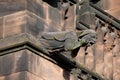 Grotesque gargoyle, Chester Cathedral,UK