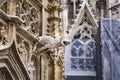 Grotesque gargoyle water spout sculpture on facade of gothic medieval St. Stephen`s Cathedral or Stephansdom in Vienna, Austria