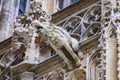 Grotesque gargoyle water spout sculpture on facade of gothic medieval St. Stephen`s Cathedral or Stephansdom in Vienna, Austria