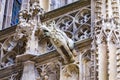 Grotesque gargoyle water spout sculpture on facade of gothic medieval St. Stephen`s Cathedral or Stephansdom in Vienna, Austria