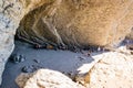 Grotto on the Black Sea coast  in Crimea Royalty Free Stock Photo