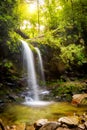 Grotto Falls in Smoky Mountain National Park Royalty Free Stock Photo