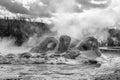 Grotto Geyser steams in Upper Geyser Basin Royalty Free Stock Photo