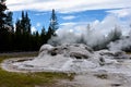Grotto Geyser in Yellowstone National park Royalty Free Stock Photo