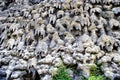 The Grotto located in Wallenstein Garden in Prague Royalty Free Stock Photo