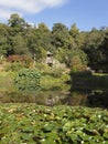 Grotto and Pond at Chatsworth House