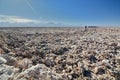 The ground around Chaxa lagoon. Los Flamencos National Reserve. Chile Royalty Free Stock Photo