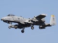 An A-10 ground attack military plane landing at Spangdahlem airbase