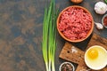 Ground beef. Ingredients for making cutlets, meatballs - ground beef, raw egg, spices, green onion on dark rustic background. Top Royalty Free Stock Photo