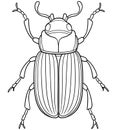 Ground beetle insect line art for nature study and coloring pages Royalty Free Stock Photo