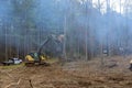 Ground is being prepared for a house wit help of an excavator that uproots trees in forest