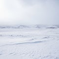 The ground is blanketed in white showing subtle wind blown patterns Royalty Free Stock Photo