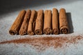 Ground Ceylon cinnamon sprinkled in front of real cinnamon sticks on a light background Royalty Free Stock Photo