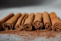 Ground Ceylon cinnamon sprinkled in front of real cinnamon sticks on a light background Royalty Free Stock Photo