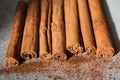 Ground Ceylon cinnamon sprinkled in front of real cinnamon sticks on a light background Royalty Free Stock Photo
