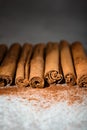 Ground Ceylon cinnamon sprinkled in front of real cinnamon sticks on a light background Royalty Free Stock Photo