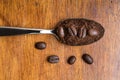 Ground coffee beans on metal spoon Royalty Free Stock Photo