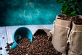 Ground coffee with coffe plants and cup Royalty Free Stock Photo