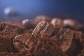 Ground coffee and grains macro shot. Smoke from freshly roasted coffee beans