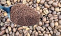 Ground coffee powder in a metal spoon in the foreground, against the background of roasted aromatic coffee beans. Coffee Royalty Free Stock Photo