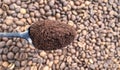 Ground coffee powder in a metal spoon in the foreground, against the background of roasted aromatic coffee beans. Coffee Royalty Free Stock Photo