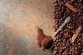 Ground coffee in a spoon and coffee beans with cinnamon and anise on a rusty metal background Royalty Free Stock Photo