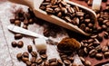 ground coffee.Spoon ground coffe Royalty Free Stock Photo