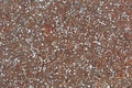 Ground covered with small Graupel, Soft hail, Snow pellets Royalty Free Stock Photo