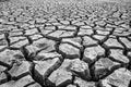 The ground cracked in the dry season. Royalty Free Stock Photo