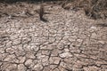 The ground cracks caused by drought caused by water shortages Royalty Free Stock Photo