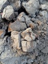 ground cracks in the dry season Royalty Free Stock Photo