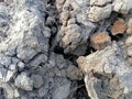 ground cracks in the dry season Royalty Free Stock Photo